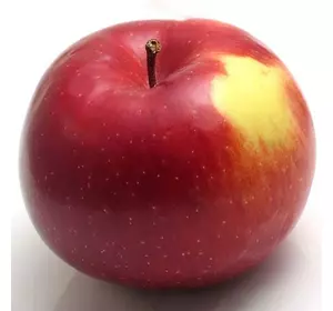 Яблуня "Амброзія" Яблуня "Амброзія"