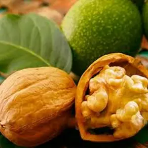 Горіх Горіх