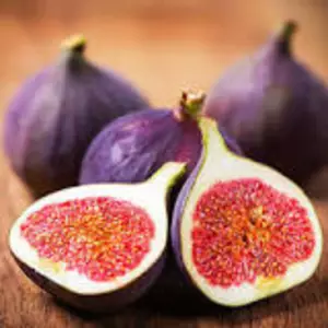 Інжир Інжир